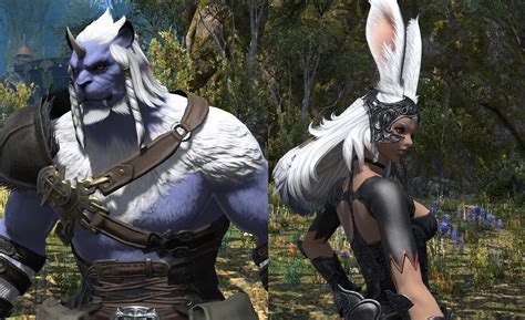 are viera and hrothgar higher quality models